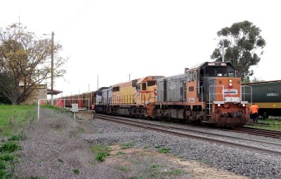 murtoa wl.jpg