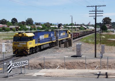 Up Steel at Stawell
