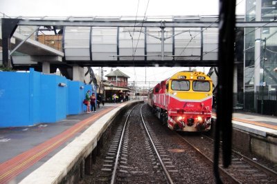 Bone at Footscray