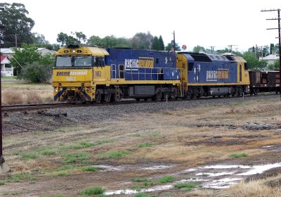9822 and Puddles at Stawell