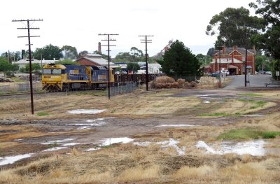 9822 and Puddles at Stawell