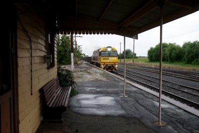 Under Shelter