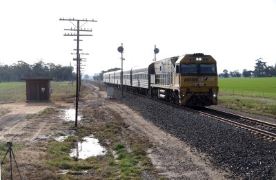Murtoa Puddles