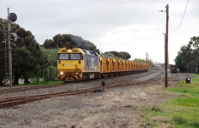 IMGP4613dd.jpg