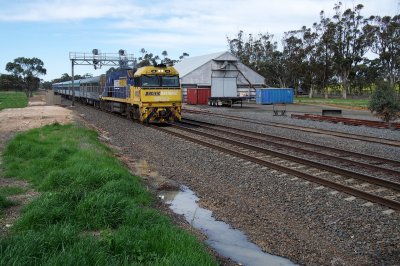 Canola and Containers