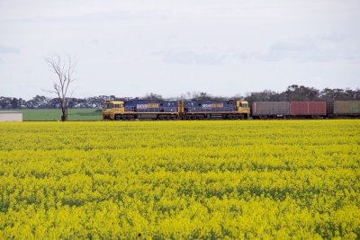 Murtoa Loop