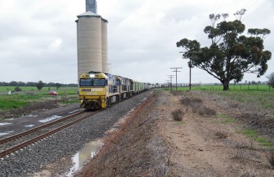 Tarraginnie Reflection