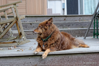 WE3_6517_DxO.jpg