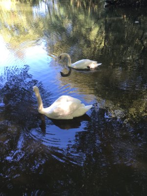 on a walk around a gravel lake