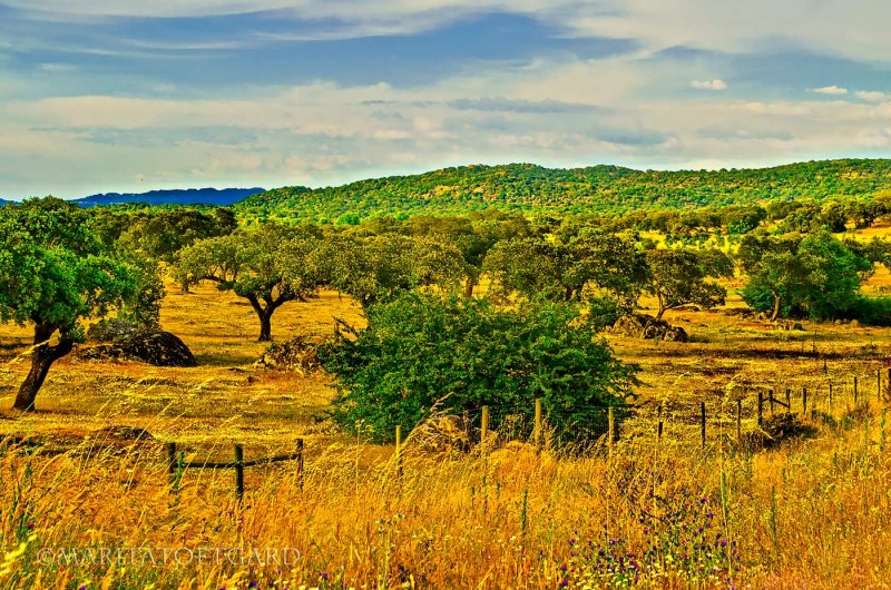 Magic Alentejo in Portugal