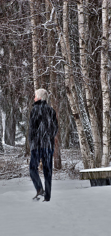 Taking a walk in a snowstorm in Sweden 