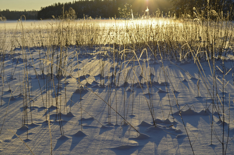 Golden sunset over the frozen lake and -20C