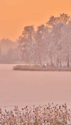 Last light in Winter, Sweden