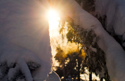 Sunset in Sweden in winter at 4 pm !