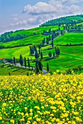 Monticchiello road Tuscany