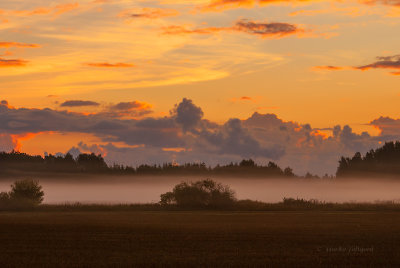 Mist and sunrise over the fields, very early morning, Sweden