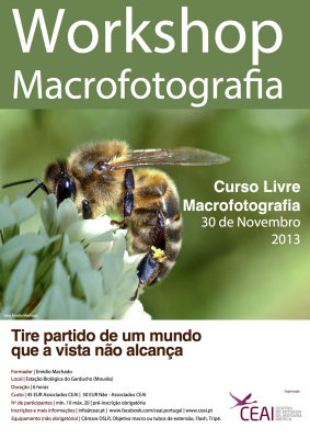 Curso Macro Fotografia_lt1.jpg