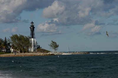 DSC_0915.jpg