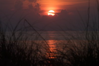 DSC_0010.jpg