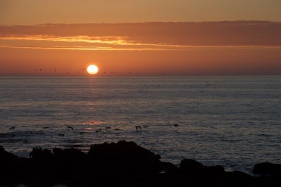 DSC_0102.jpg