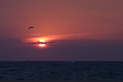 DSC_1593 - Version 2.jpg