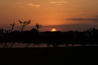 DSC_2042.jpg