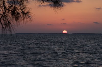 DSC_2379.jpg