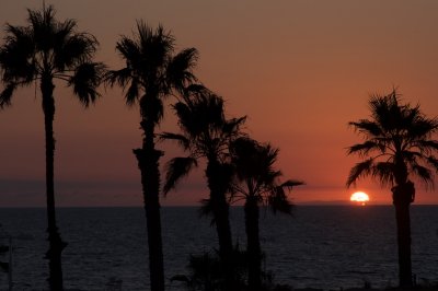 DSC_3516.jpg