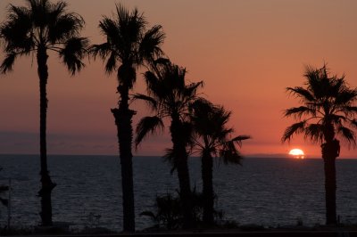 DSC_3517.jpg