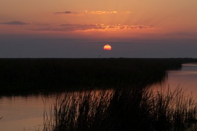 IMG_0435.jpg