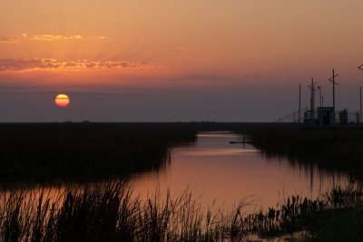 IMG_0438.jpg