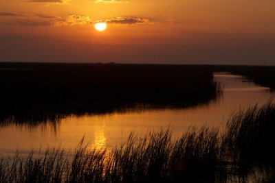 IMG_0444.jpg