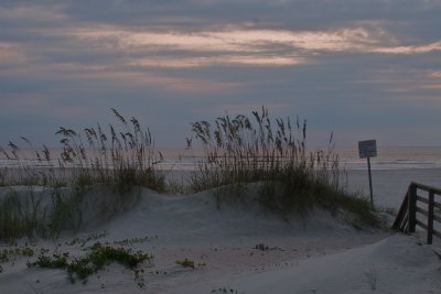 IMG_0499 - Version 2.jpg