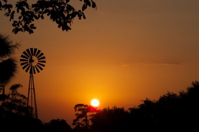 IMG_0526.jpg