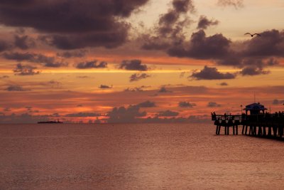 IMG_0983.jpg