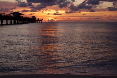 IMG_0989.jpg