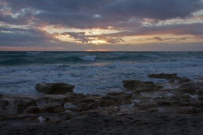 IMG_1326 - Version 2.jpg
