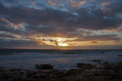 IMG_1336 - Version 2(1).jpg