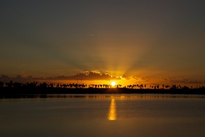 IMG_1482.jpg