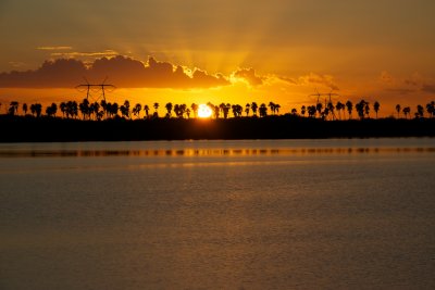IMG_1484.jpg