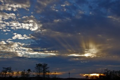 IMG_1541 - Version 2.jpg