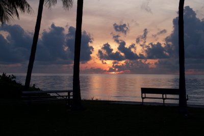 IMG_1614.jpg