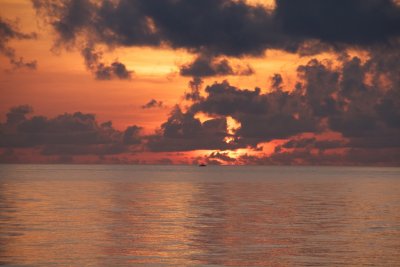 IMG_1617.jpg