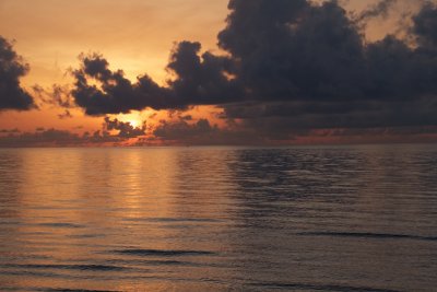 IMG_1619.jpg