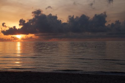 IMG_1623.jpg