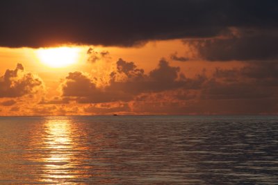 IMG_1626.jpg