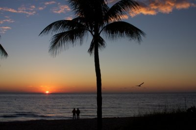 IMG_1782.jpg