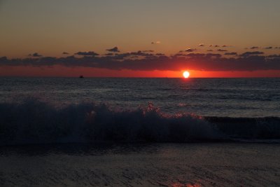 IMG_1884.jpg
