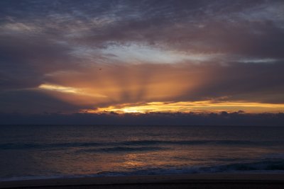 IMG_2095.jpg