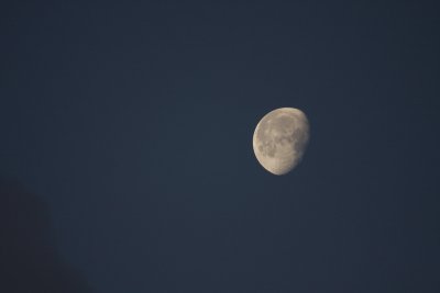 IMG_2300.jpg